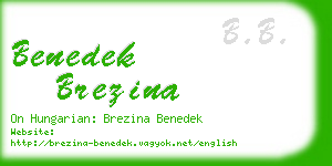 benedek brezina business card